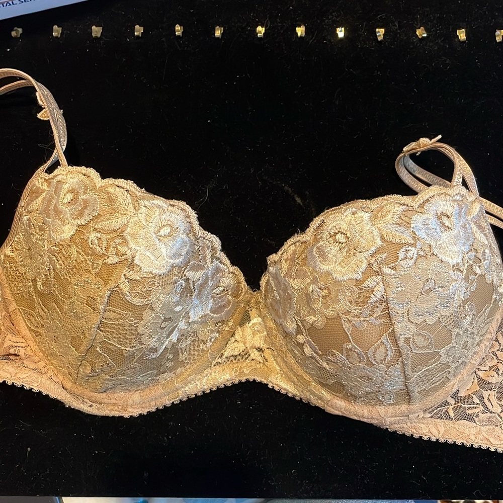 Olga Underwire Bra 34C